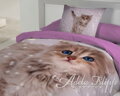 Zlatučké posteľné obliečky s maličkým mačiatkom Sima na fialovom podklade.