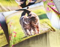 Nápadité posteľné obliečky so zamilovanými mačiatkami na 100% bavlnenom podklade.