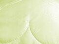 Antialergický vankúš s výťažkom z aloe vera v rozmere 70x90 cm. Mäkký a vzdušný vankúš s dvojitým obalom pre reguláciu výplne. Vhodný aj pre alergikov.