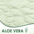 Paplón na francúzske dvojlôžko Aloe Vera |210x240| 1400g