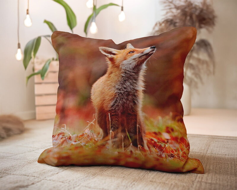 Vankúš LÍŠKA ZORRITA