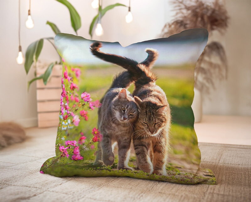 Vankúš MAČIATKA Orchid